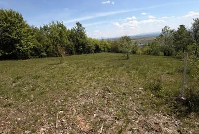 Teren în Buzești - 2