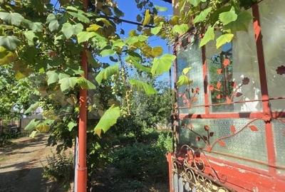 Casă cu 3 camere în Costești