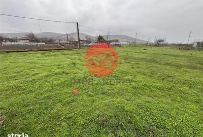 Casă cu 3 camere cu Teren 2100 Mp în Valea Nucarilor