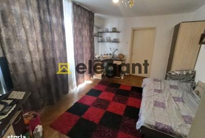 Apartament cu 2 camere semidecomandat în Brazda lui Novac