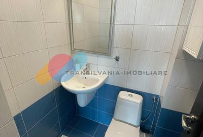 Apartament cu 3 camere semidecomandat, mobilat în Europa - 11