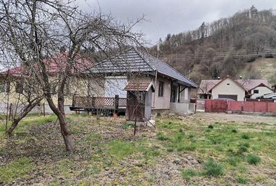 Casă cu 2 camere cu Teren 823 Mp în Rusca - 8
