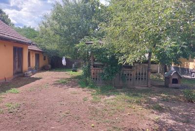 Casă cu 4 camere în Batia