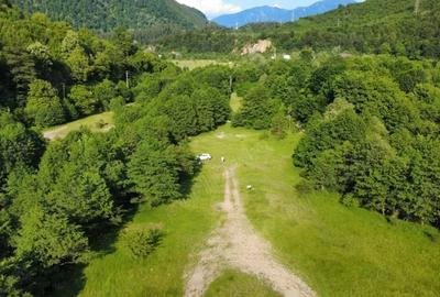 Teren de 5000 mp, în Păscoaia - 3