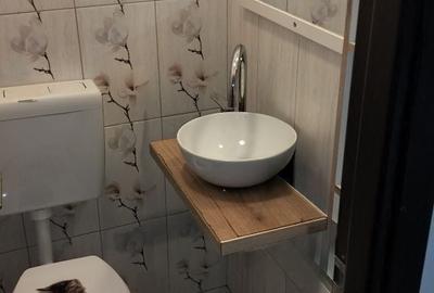 Apartament cu 3 camere semidecomandat, mobilat în Lipovei - 7