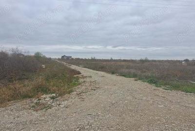 Teren de 977 mp, în Odăile - 3