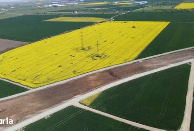 Teren de 137000 mp, în Aradului - 2