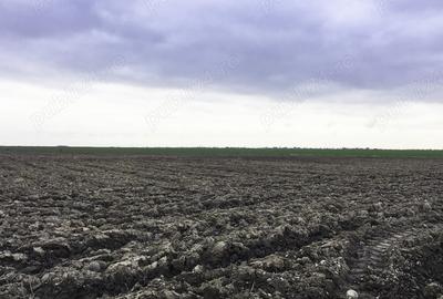 Teren de 75000 mp, în Costești - 2