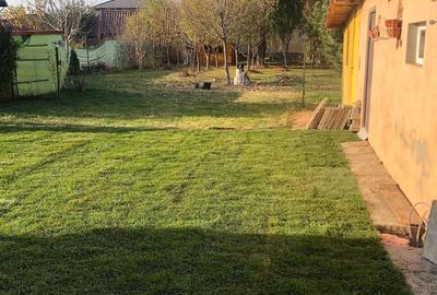 Casă cu 6 camere cu Teren 1156 Mp în Cornetu