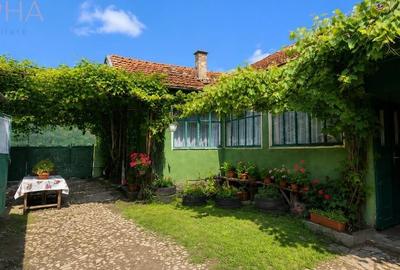 Casă cu 3 camere în Sărata - 3