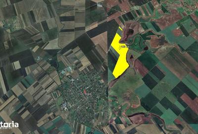 Teren de 1030000 mp, în Biled - 3