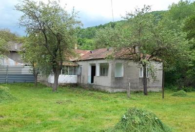 Casă cu 4 camere cu Teren 5574 Mp în Vulcăneasa - 7