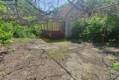 Casă cu 3 camere cu Teren 6674 Mp în Macea - 7