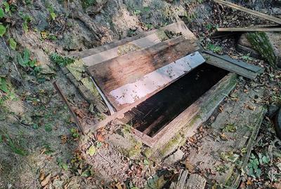Teren de 10000 mp, în Poiana Mărului