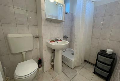 Apartament cu 2 camere decomandat în Iosefin - 4
