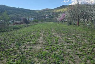 Teren de 2000 mp, în Central - 2