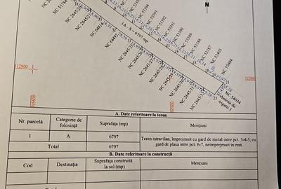 Teren Construcții intravilan de 6800 mp, în Berceni - 4