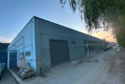 Spațiu comercial, de 1,236 mp, în Govândari - 2
