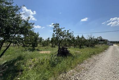 Teren Construcții intravilan de 565 mp, în Cocoșești