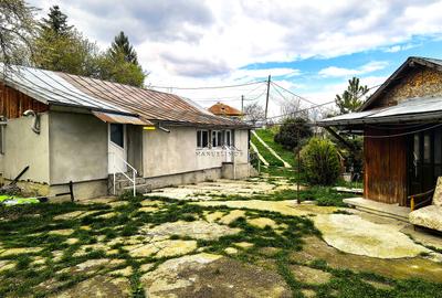 Casă individuală cu 4 camere cu Teren 2500 Mp în Podul Vadului - 9