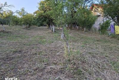 Teren de 1500 mp, în Berislăvești
