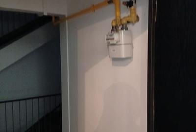 Apartament cu 3 camere decomandat în Gorjului