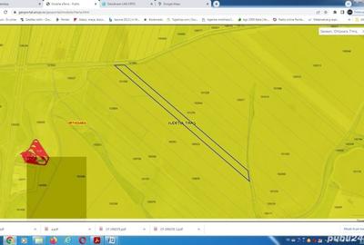 Teren de 50000 mp, în Seceani - 2