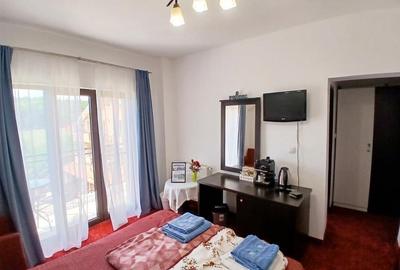 Garsonieră decomandată în Băile Felix - 3