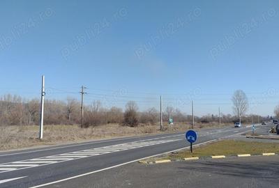 Teren de 20000 mp, în Valea Ursului (Tâmna) - 8