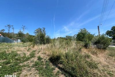 Teren de 1040 mp, în Podgoria