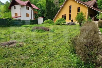 Casă cu 3 camere cu Teren 2500 Mp în Ighiu - 5