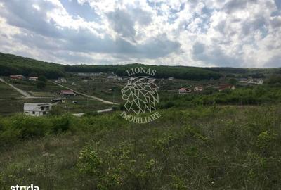 Teren de 700 mp, în Budacu de Jos - 4