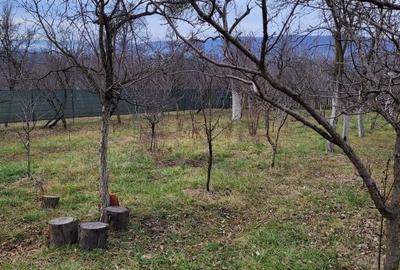 Casă cu 4 camere în Valea Popii - 8