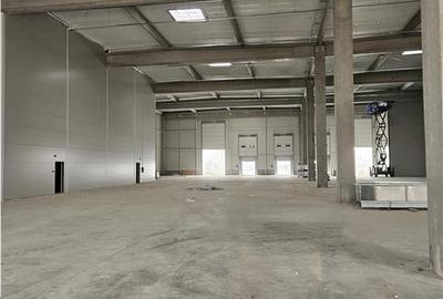 Spațiu industrial, de 1,770 mp, în Vest - 13