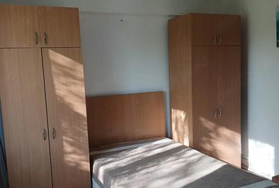 Apartament cu 2 camere decomandat în Brazda lui Novac