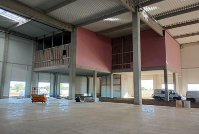 Spațiu industrial, de 22,000 mp, în Aradul Nou - 6