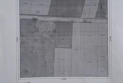 Teren de 1500 mp, în Mirceștii Noi - 1