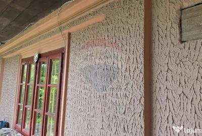 Casă cu 3 camere cu Teren 5063 Mp în Uzunu - 15