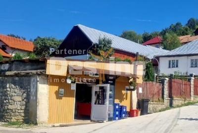 Casă individuală cu 5 camere cu Garaj în Valea Doftanei - 8