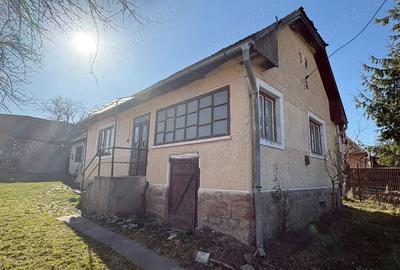 Casă cu 4 camere cu Teren 1250 Mp în Valea Crișului - 1