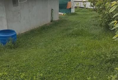 Casă cu 1 camere cu Teren 514 Mp în Exterior Vest - 2