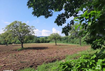 Teren de 17800 mp, în Fizeș - 3