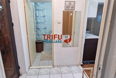 Garsonieră decomandată, mobilată în Cetate - 11