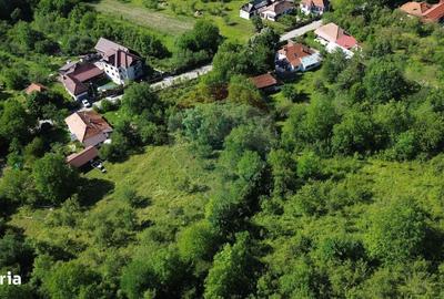 Casă cu 4 camere în Valea Popii - 12