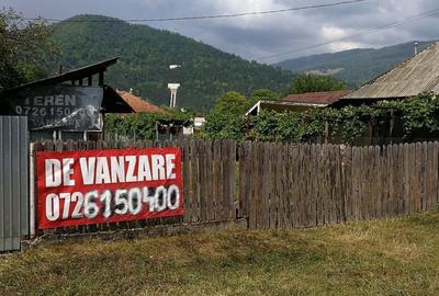 Teren în Stejaru (Pângărați) - 8
