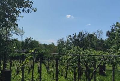 Casă cu 2 camere cu Teren 2000 Mp în David - 3