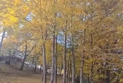 Teren de 3600 mp, în Cisnădioara - 3