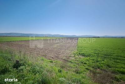 Teren de 8700 mp, în Bod