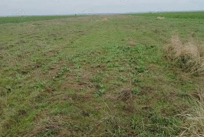Teren de 27000 mp, în Vânători - 1
