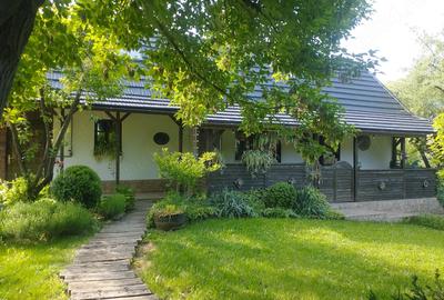 Casă cu 1 camere cu Teren 7500 Mp în Bazna - 10